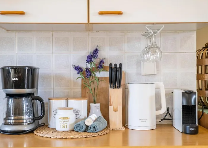 Appartement Live Like A Local